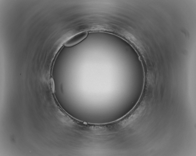X0000111881089200907231530