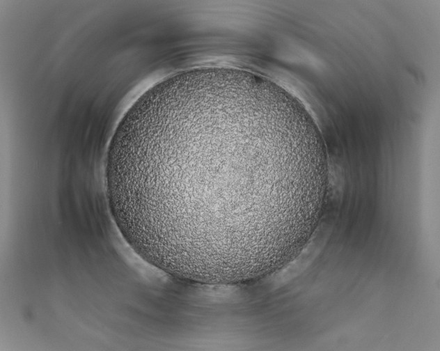 X0000111881090200907231530