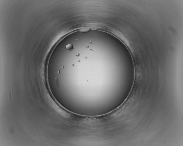 X0000111881091200907231530