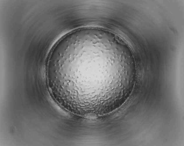 X0000111881092200907231530