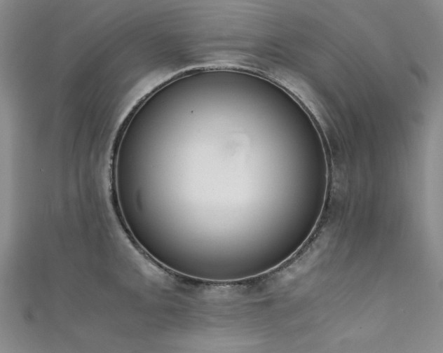 X0000111881093200907231530