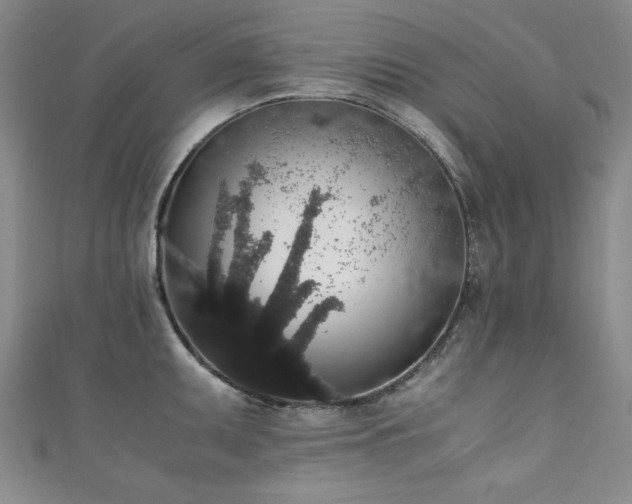 X0000111881095200907231530