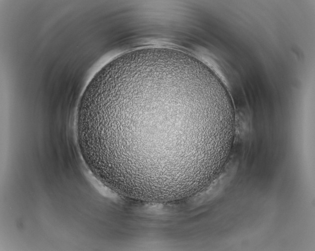 X0000111881098200907231530
