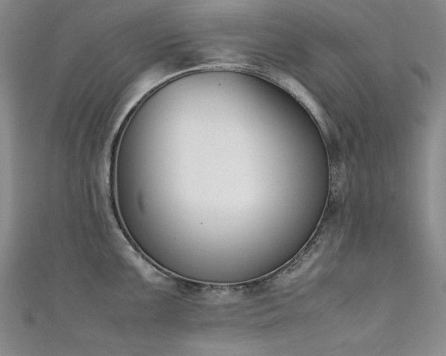 X0000111881099200907231530