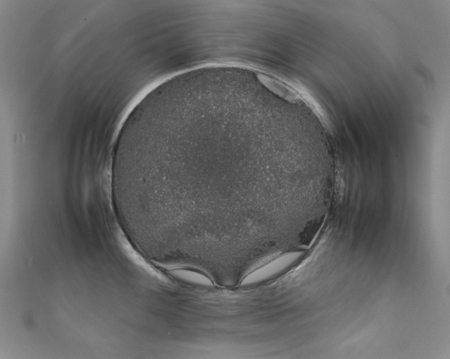 X0000111881100200907231530