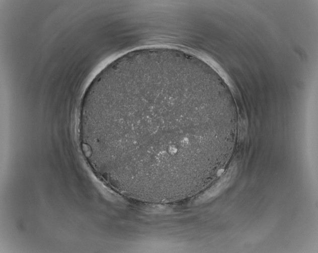 X0000111881101200907231530
