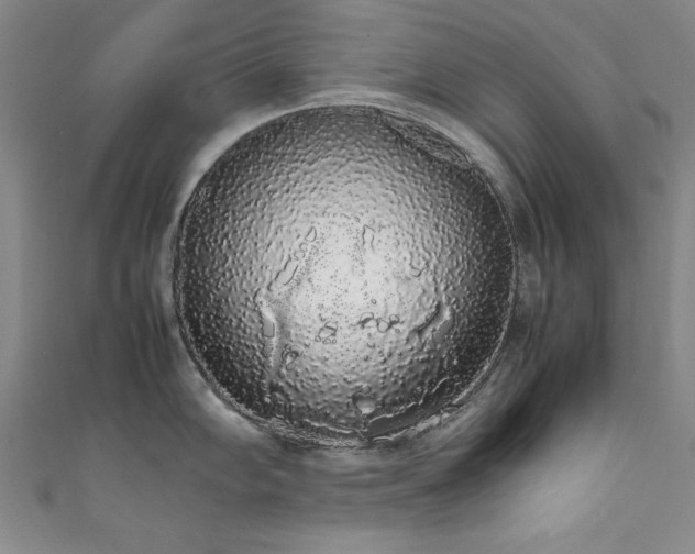 X0000111881102200907231530