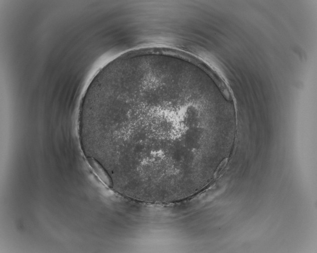 X0000111881104200907231530