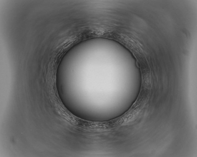 X0000111881105200907231529