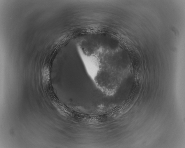 X0000111881106200907231529