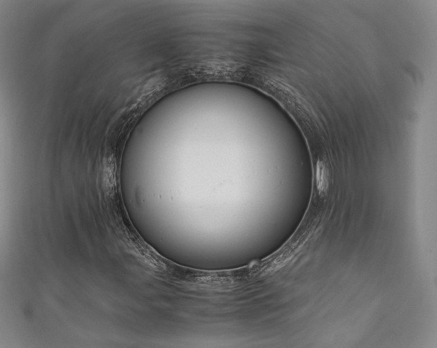 X0000111881107200907231529