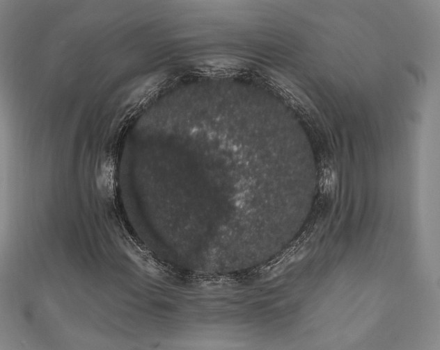 X0000111881108200907231529