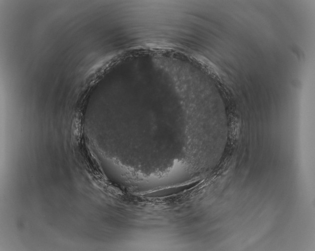 X0000111881110200907231529