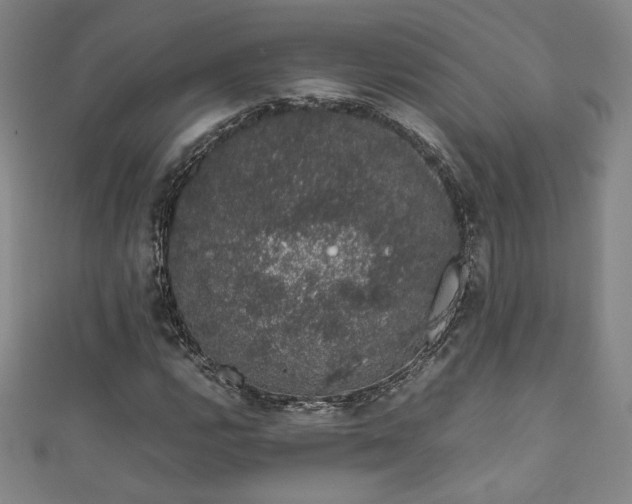 X0000111881112200907231529