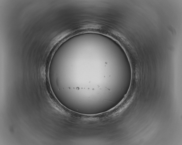 X0000111881113200907231529