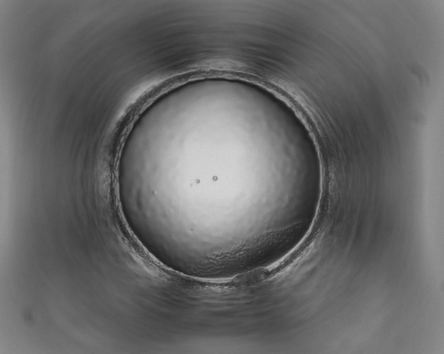 X0000111881115200907231529