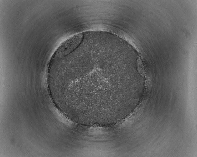 X0000111881116200907231529