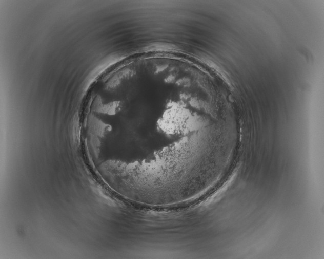 X0000111881117200907231529