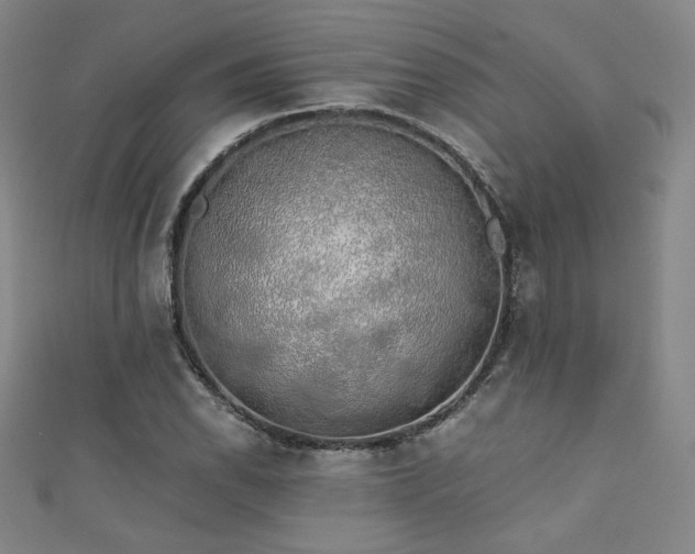 X0000111881118200907231529
