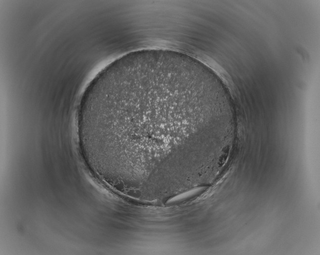 X0000111881120200907231529