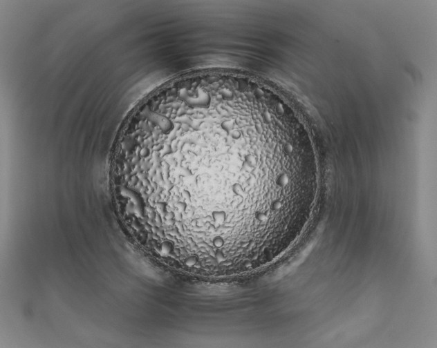 X0000111881121200907231529