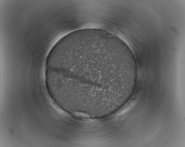 X0000111881124200907231529