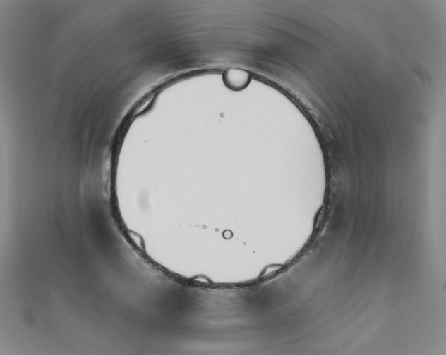X0000111881126200907231529