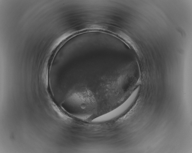 X0000111881127200907231529