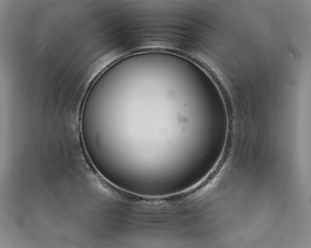 X0000111881129200907231529