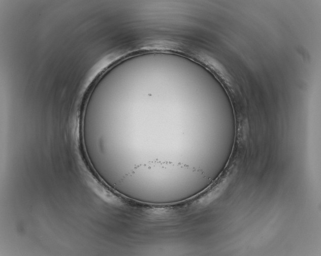 X0000111881130200907231529