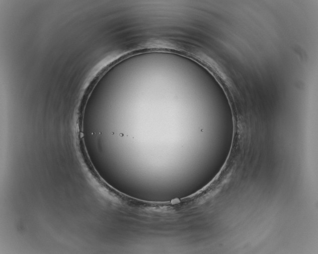 X0000111881133200907231529
