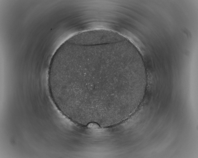 X0000111881134200907231529