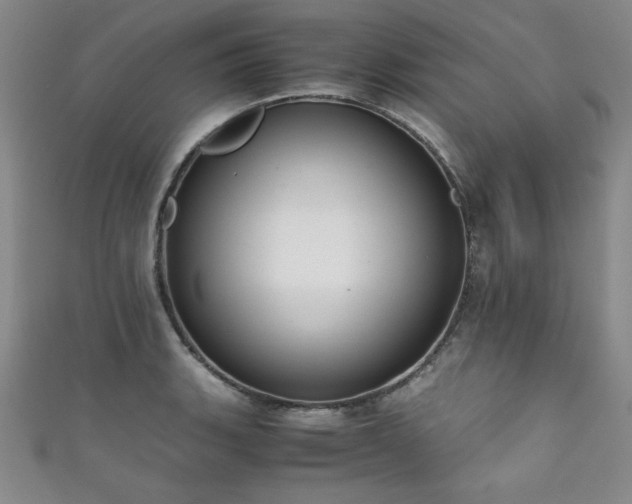 X0000111881135200907231529