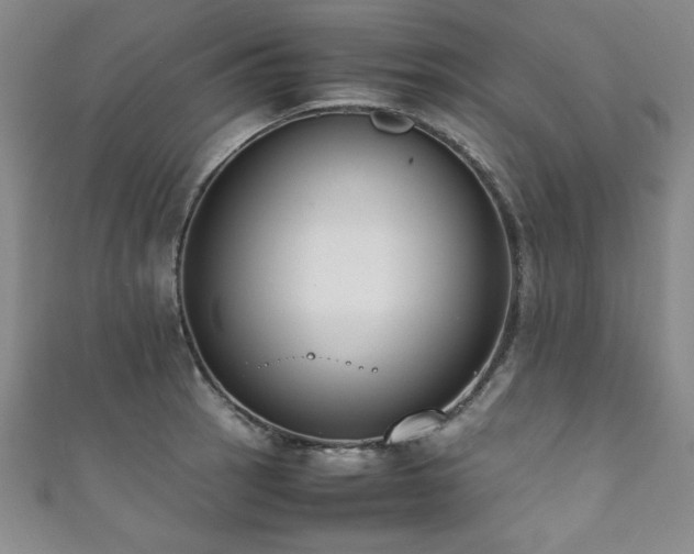 X0000111881137200907231529