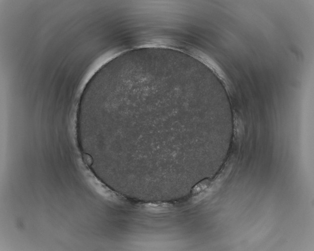 X0000111881138200907231529