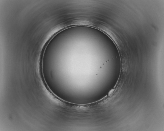 X0000111881139200907231529