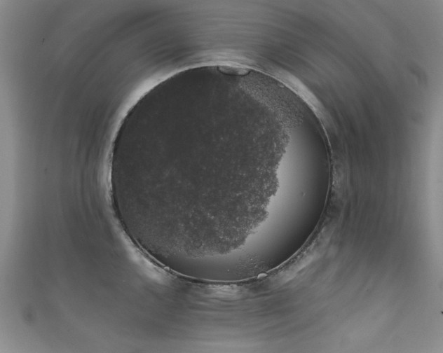 X0000111881144200907231530