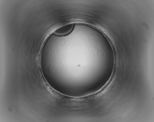 X0000111881145200907231530