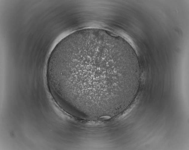 X0000111881146200907231530
