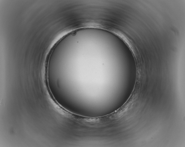 X0000111881147200907231530