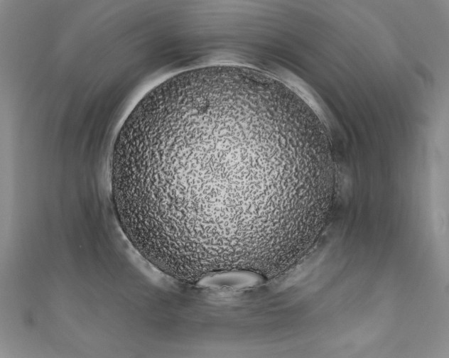 X0000111881148200907231530