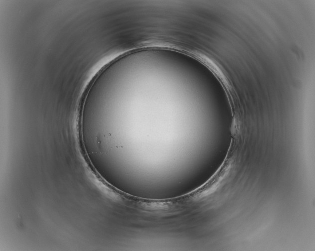 X0000111881149200907231530