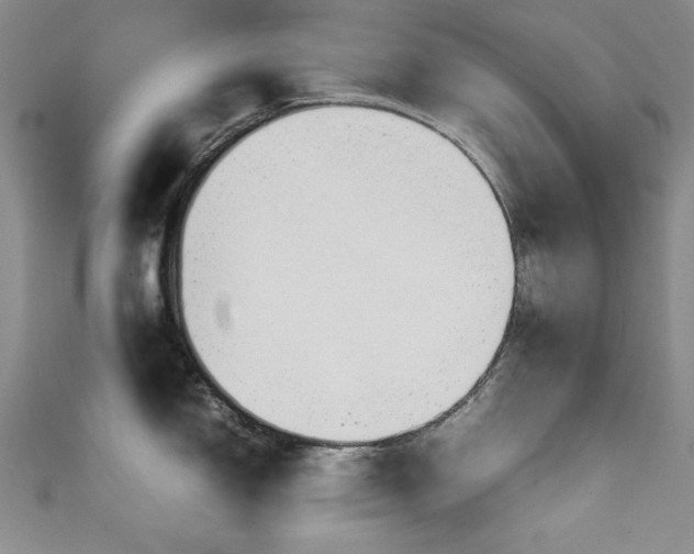 X0000111881150200907231530