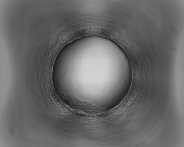X0000111881153200907231529