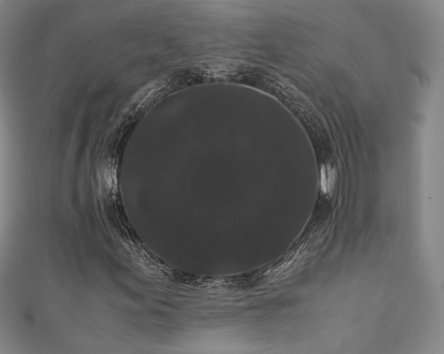 X0000111881155200907231529