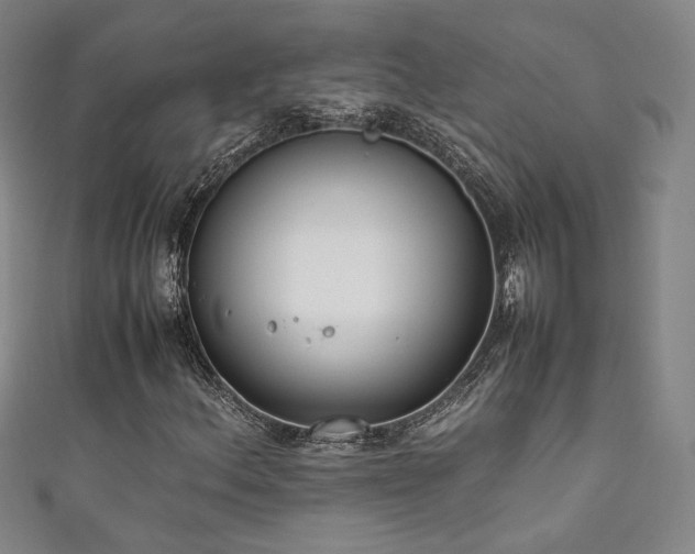 X0000111881156200907231529