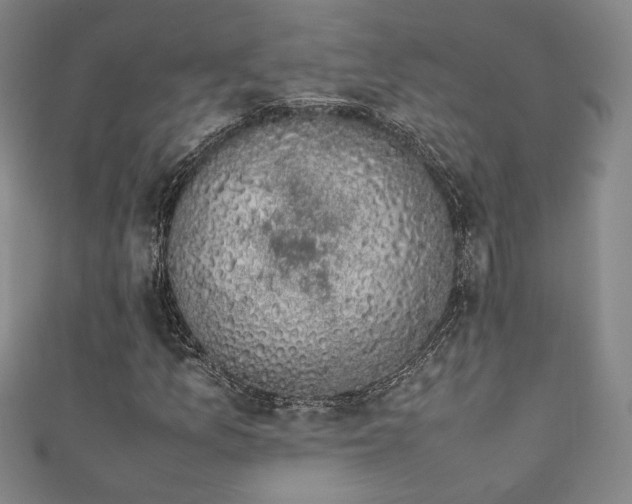 X0000111881157200907231529