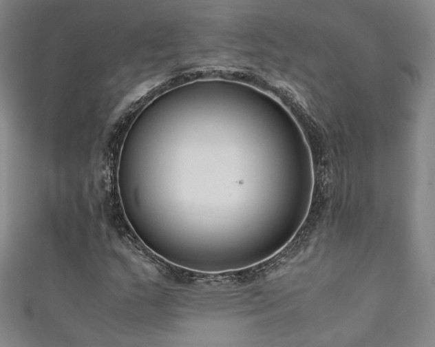 X0000111881159200907231529