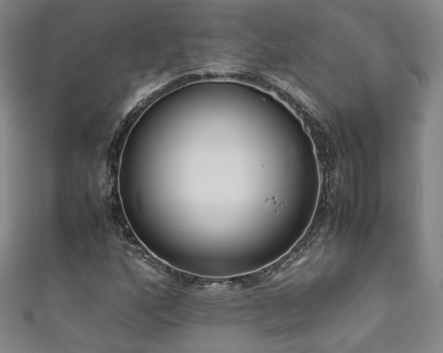 X0000111881160200907231529