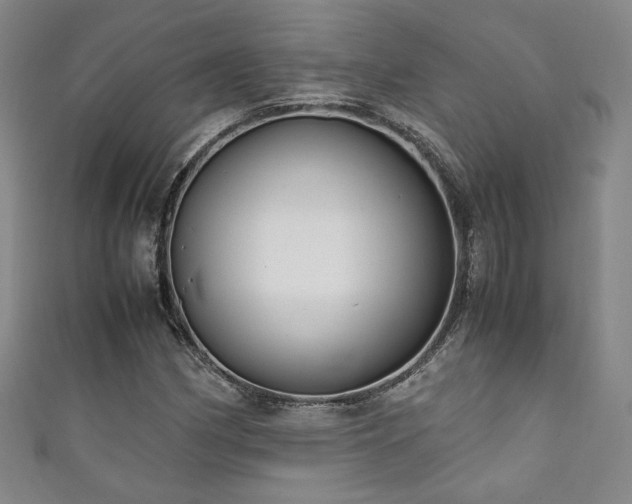 X0000111881162200907231529